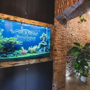 Le Boutique Luxury Rooms Diffused In Historic Center